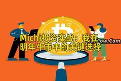 Michi投资实战：我在明年牛市中的关键选择
