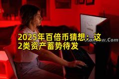 2025年百倍币猜想：这2类资产蓄势待发