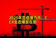 2025年百倍潜力币：CCX生态爆发在即