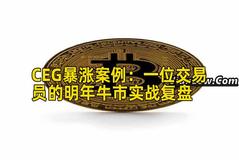 CEG暴涨案例：一位交易员的明年牛市实战复盘