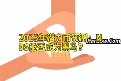 2025年潜力币预测：NBS能否成为黑马？