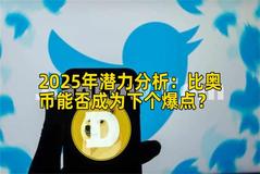 2025年潜力分析：比奥币能否成为下个爆点？