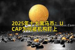 2025年十大黑马币：UCAP为何被机构盯上