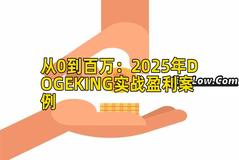 从0到百万：2025年DOGEKING实战盈利案例