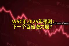 WSC币2025年预测：下一个百倍潜力股？