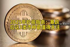 2025年抄底指南：暴跌后这3类币种最值得关注