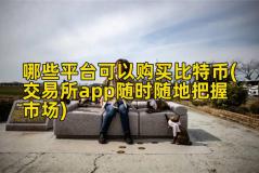 哪些平台可以购买比特币(交易所app随时随地把握市场)