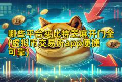 哪些平台买比特芝麻开门全(虚拟币交易所app便捷可靠)