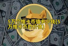 5万个维卡币值多少钱(5万维卡币的价值)