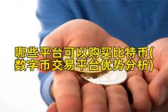 哪些平台可以购买比特币(数字币交易平台优势分析)