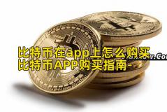 比特币在app上怎么购买比特币APP购买指南-
