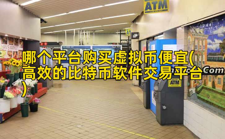 哪个平台购买虚拟币便宜(高效的比特币软件交易平台)