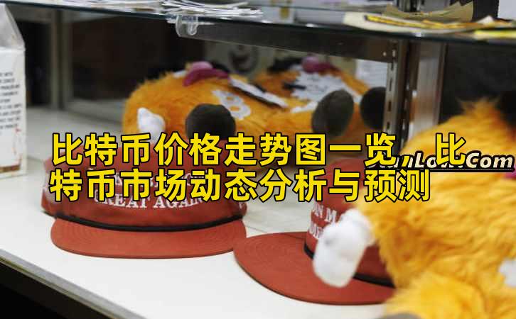 比特币价格走势图一览，比特币市场动态分析与预测