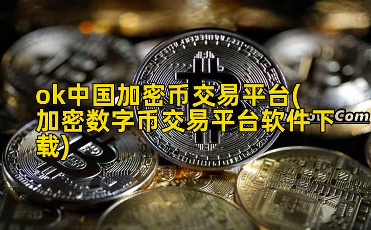 ok中国加密币交易平台(加密数字币交易平台软件下载)