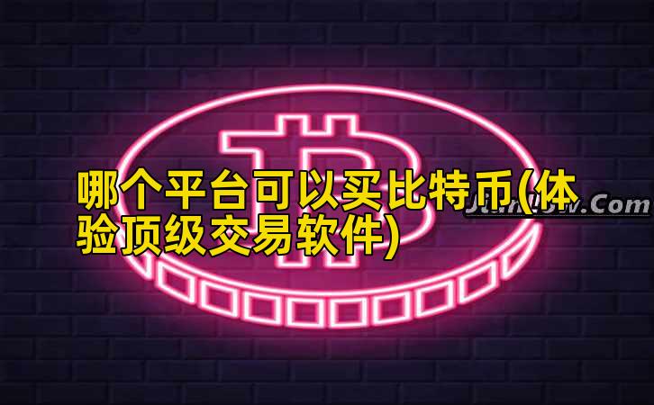 哪个平台可以买比特币(体验顶级交易软件)