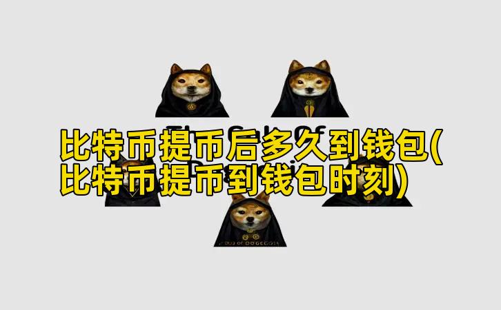 比特币提币后多久到钱包(比特币提币到钱包时刻)