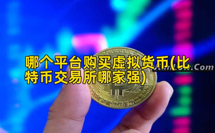 哪个平台购买虚拟货币(比特币交易所哪家强)