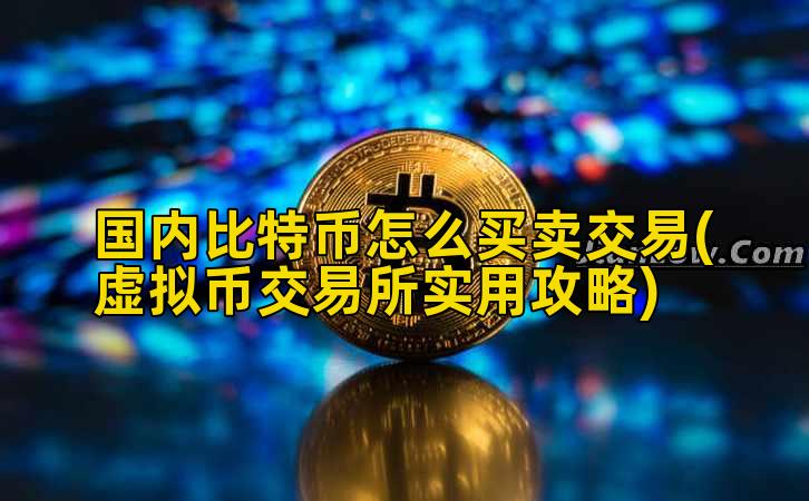 国内比特币怎么买卖交易(虚拟币交易所实用攻略)