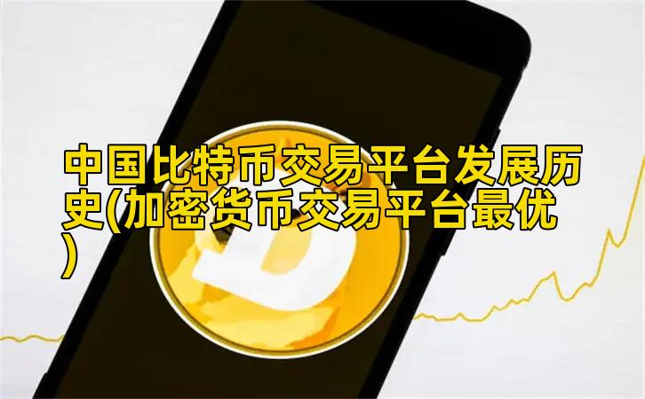 中国比特币交易平台发展历史(加密货币交易平台最优)