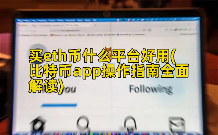 买eth币什么平台好用(比特币app操作指南全面解读)