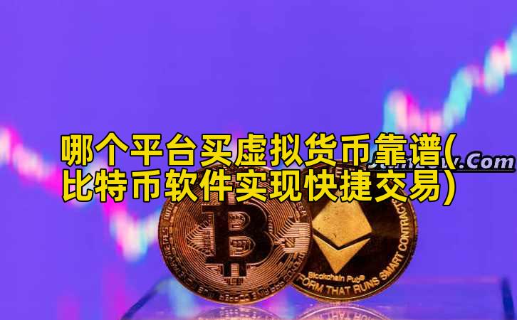哪个平台买虚拟货币靠谱(比特币软件实现快捷交易)