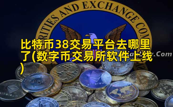比特币38交易平台去哪里了(数字币交易所软件上线)