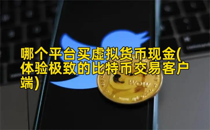 哪个平台买虚拟货币现金(体验极致的比特币交易客户端)
