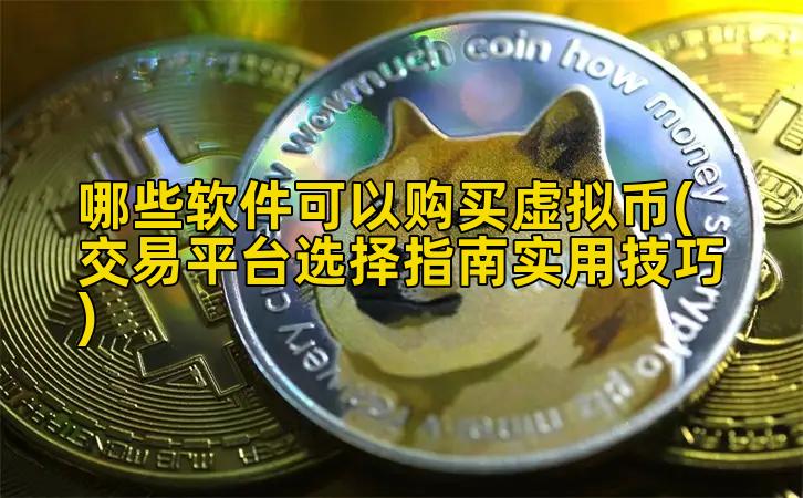 哪些软件可以购买虚拟币(交易平台选择指南实用技巧)