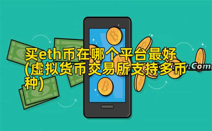 买eth币在哪个平台最好(虚拟货币交易所支持多币种)