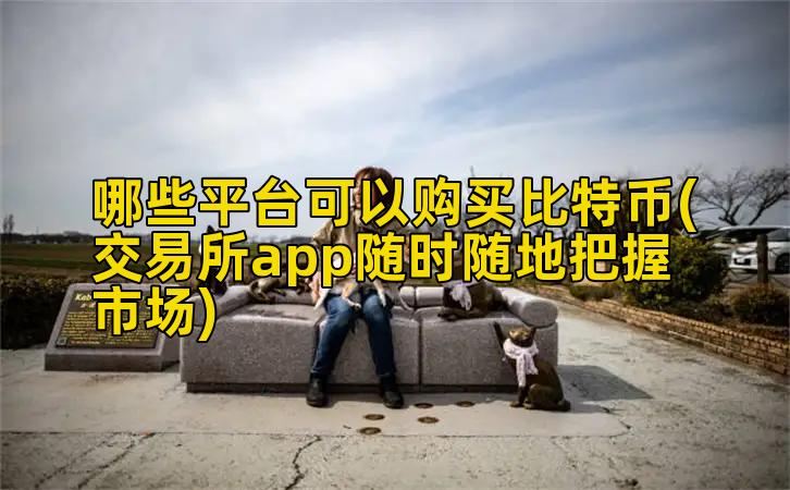 哪些平台可以购买比特币(交易所app随时随地把握市场)