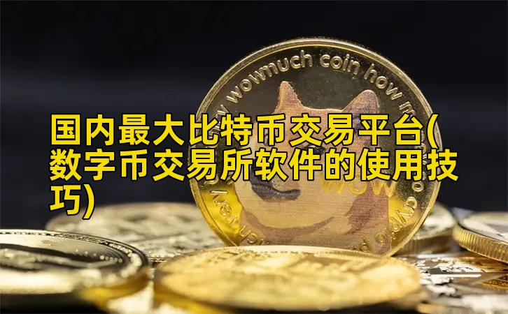 国内最大比特币交易平台(数字币交易所软件的使用技巧)