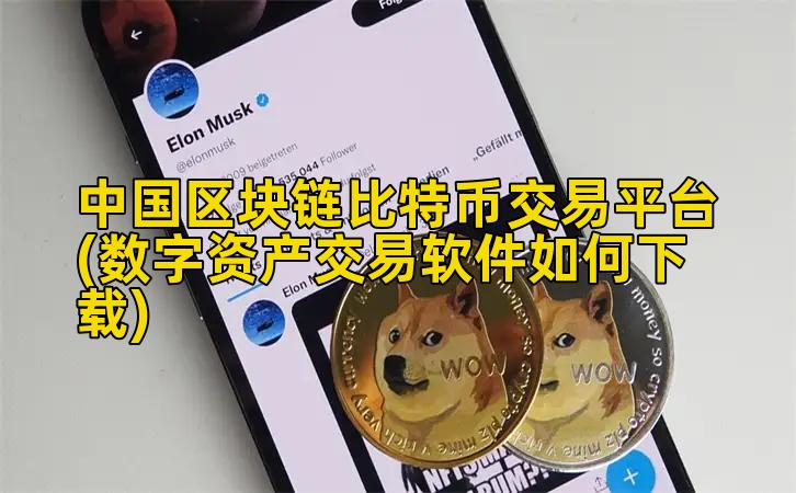 中国区块链比特币交易平台(数字资产交易软件如何下载)