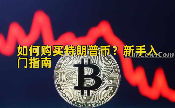 如何购买特朗普币？新手入门指南