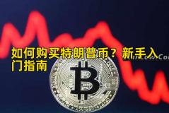 如何购买特朗普币？新手入门指南