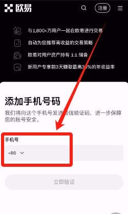 OKX账户IP设置