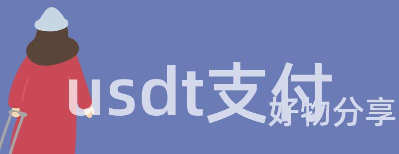 usdt支付插图