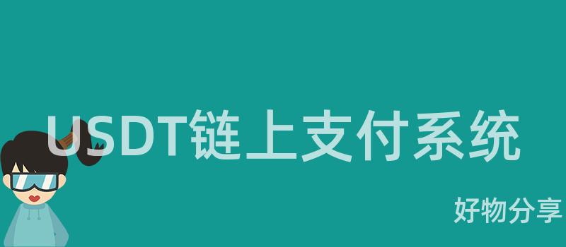 USDT链上支付系统插图