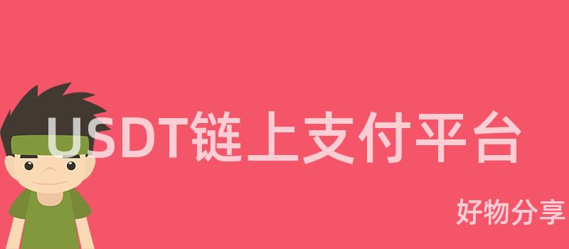 USDT链上支付平台插图