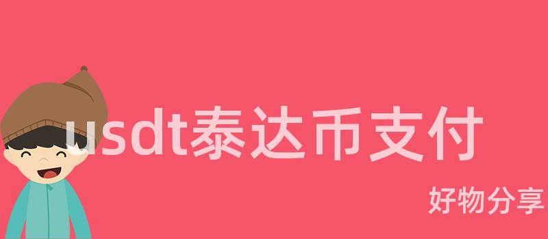 usdt泰达币支付插图 usdt泰达币支付插图