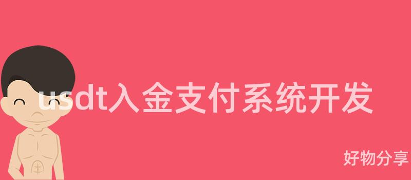 usdt入金支付系统开发插图
